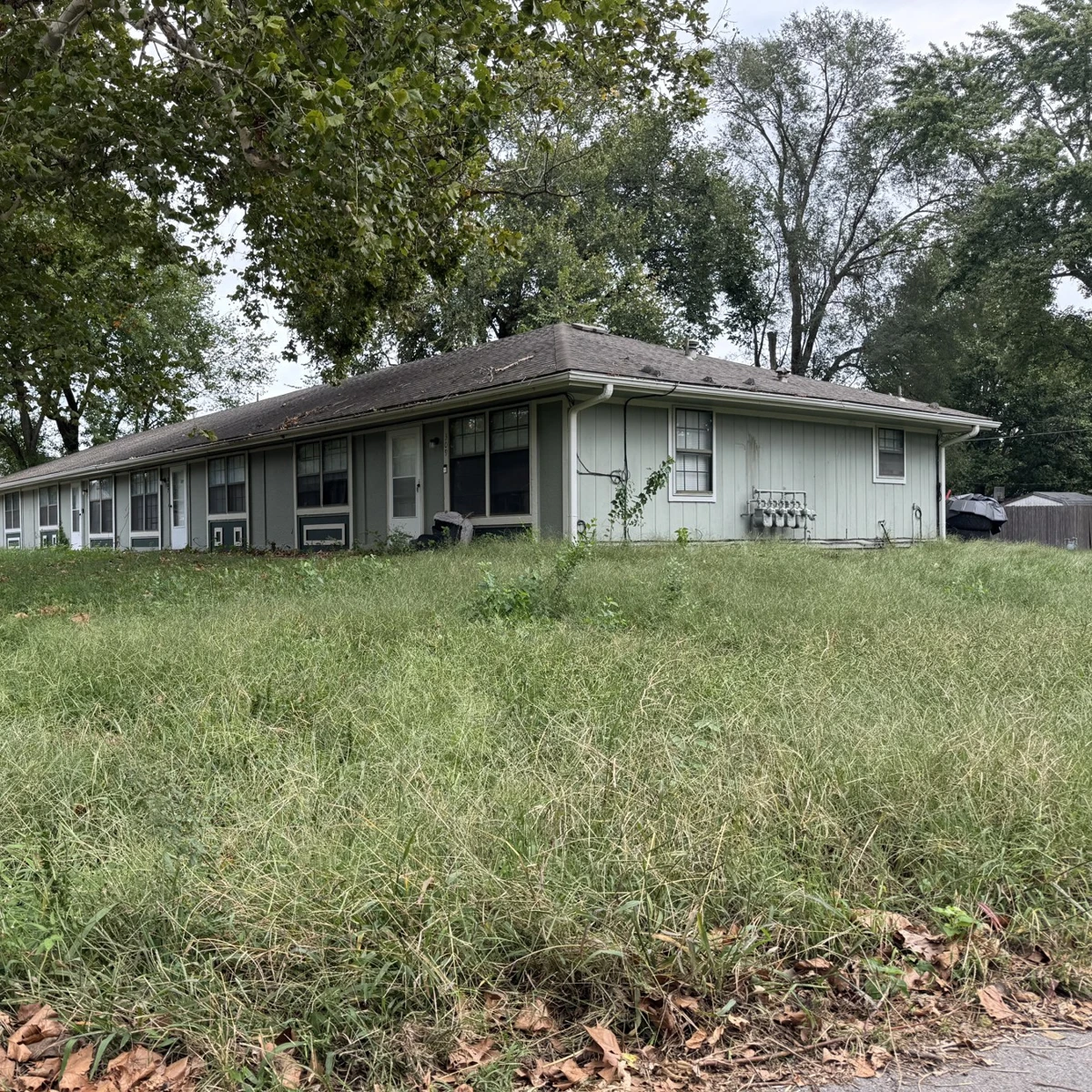 Lawn before mowing and cleanup